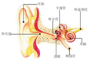 医生专业解析:耳朵疼痛为哪般?该怎么办?